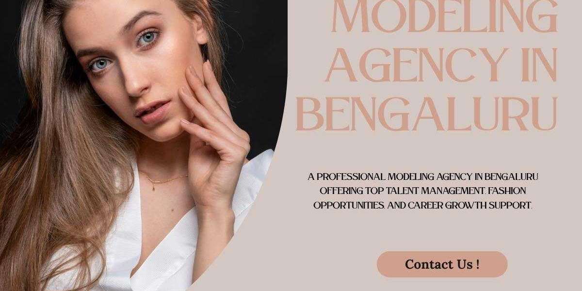Modeling Agency in Bengaluru: How Subzcanvas Builds Real Talent and Strong Brands