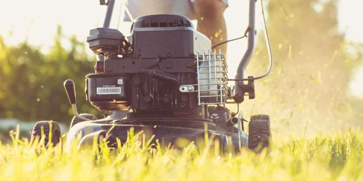 Tips for Selecting a Reliable Landscape Company Near Your Business