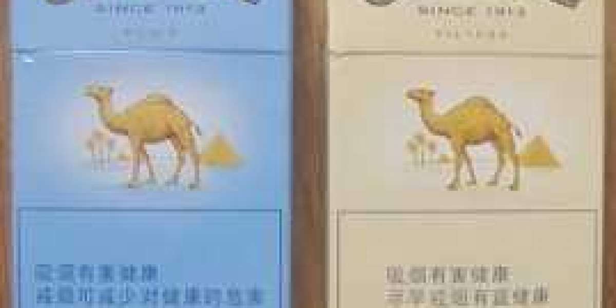 駱駝形象的文化象徵與現代風格演繹｜HKsmokeone 品牌視角解析