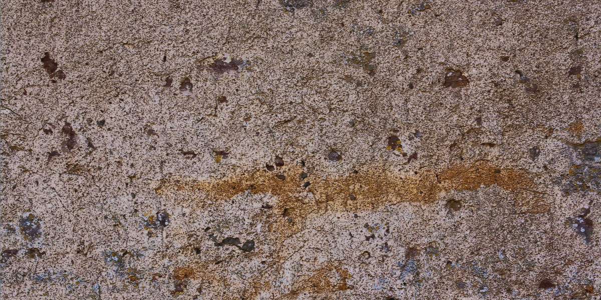 Exploring the Dynamics of Sugar Daddy Websites in Edmonton