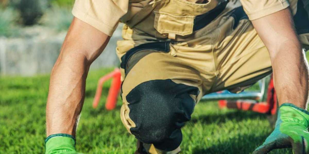 Landscape Improvements That Increase Property Value in HOA Communities