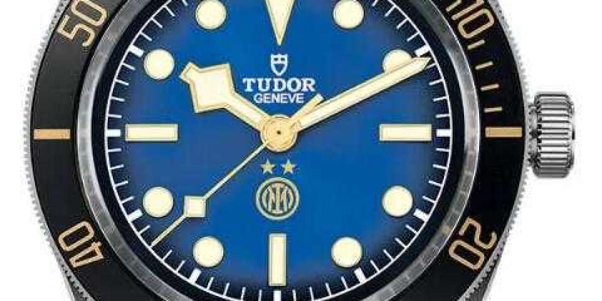fake tudor watches