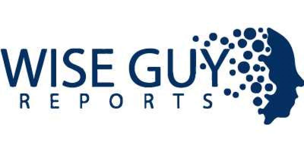 Structural Resilience: Navigating the Pet Bottle Recycling Market Dynamics