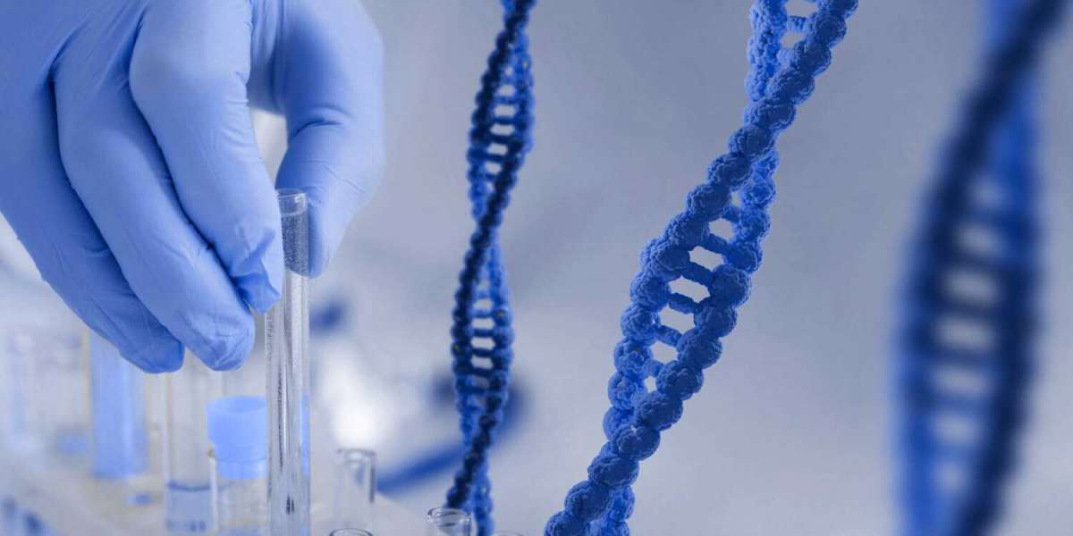 DNA Test Dubai: Accurate Testing for Personal and Legal Needs