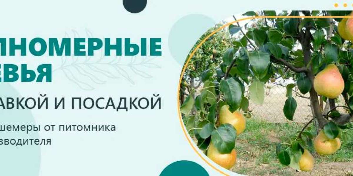 Уход за саженцами: советы для успешного роста