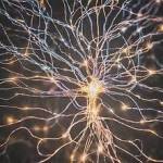 carrieficktherapy carrieficktherapy Profile Picture