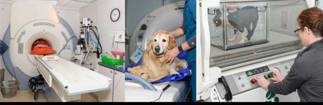 Veterinary Neurology And Imaging of the Chesapeake Cover Image