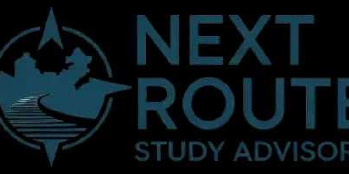 Benefits of Working with a Professional Study Consultant in Sialkot