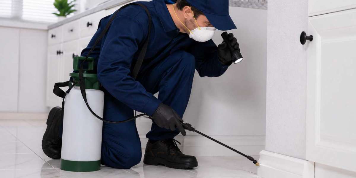 Pest Control Company Oxford: Practical Pest Prevention for Modern Homes