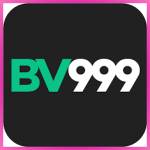 bv999 bv999 Profile Picture