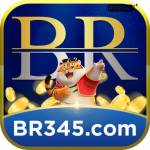 br345 br345 Profile Picture