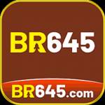 br645 br645 Profile Picture