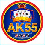 ak55 ak55 Profile Picture