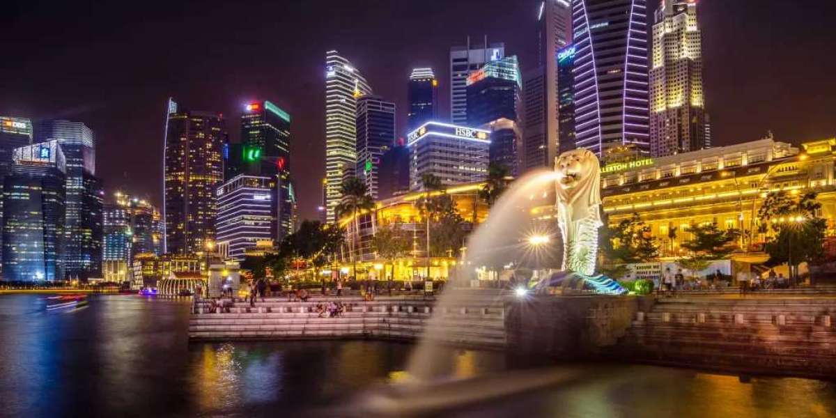 Understanding the Network and Expertise Pass - Singapore Work Pass