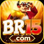 br15 br15 Profile Picture