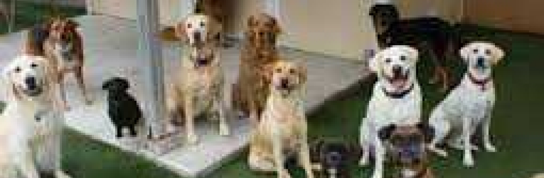 Value For Money Pet Shampoo WAGS PetCare Asia Cover Image