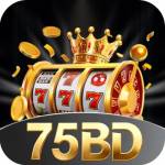 75bd 75bd Profile Picture