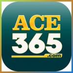 ace365 ace365 Profile Picture