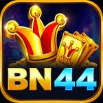 bn4 bn4 Profile Picture