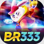 br333 br333 Profile Picture