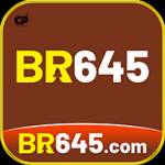 br645 br645 Profile Picture
